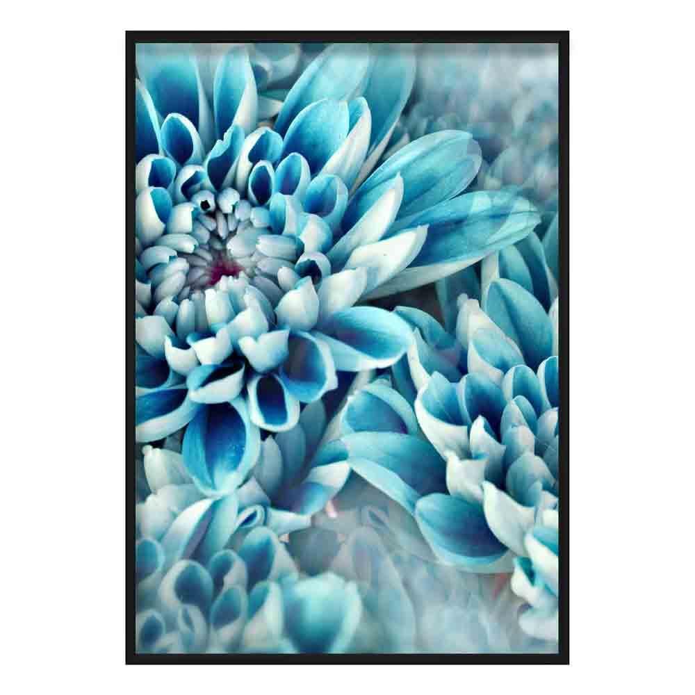 Chrysanthemum Macro Photo in Teal Print
