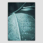Leaf Macro Photo in Teal Print