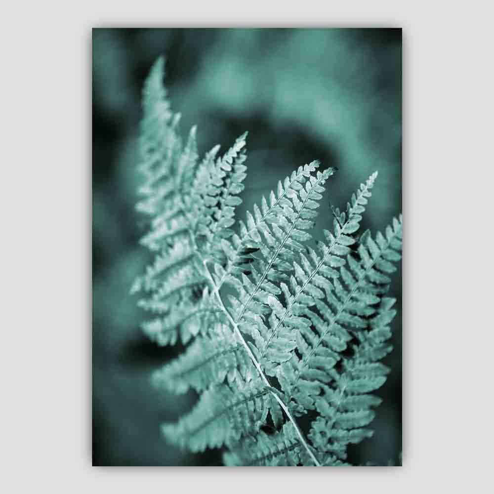 Fern Leaf Photo in Teal Print