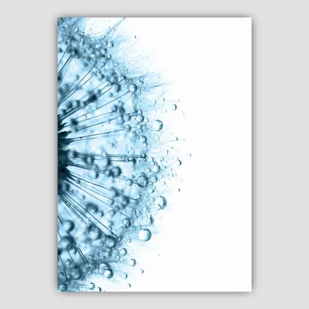 Dandelion Water Drops Macro Photo Print