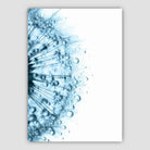 Dandelion Water Drops Macro Photo Print