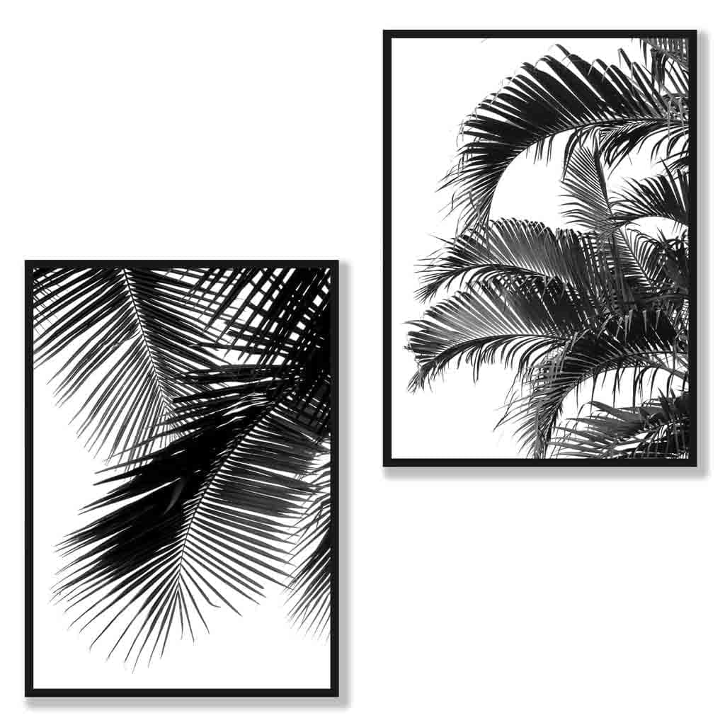 Set of 2 Mono Black Ferns Framed Wall Art Prints Artze Wall Art
