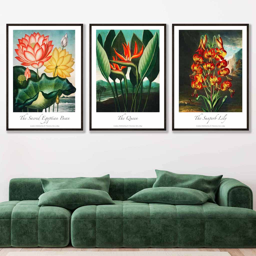 Vintage Tropical Flowers Botanical Set of 3 Wall Art Prints