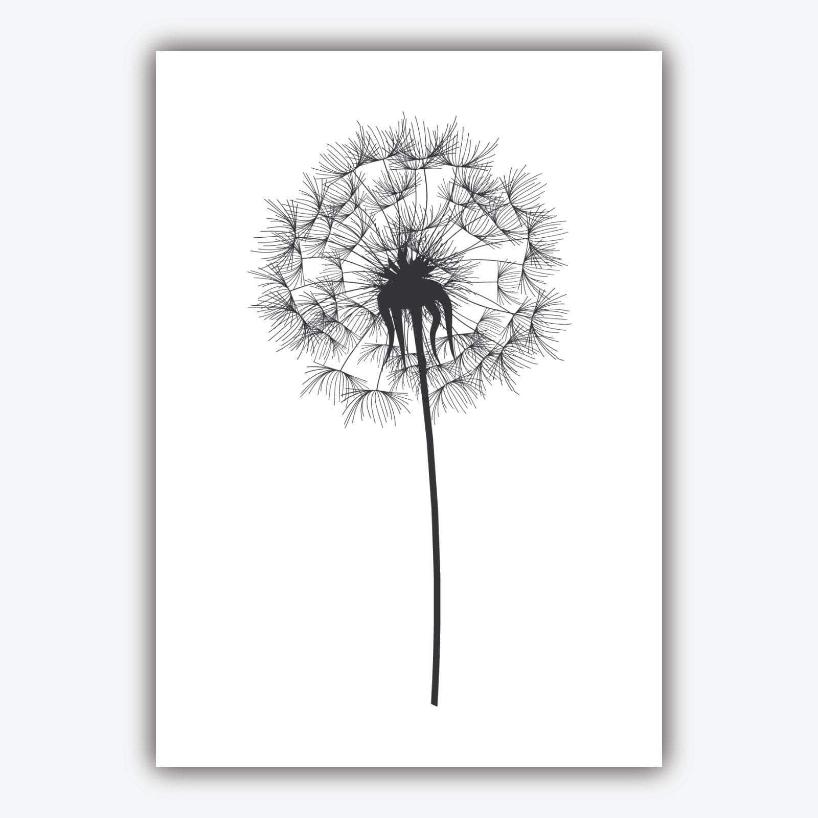Set of 5 ORIGINAL Gallery wall ART Prints Graphical Sketch DANDELION triptych with Pair of Magnolia Art Photographs Botanical Floral