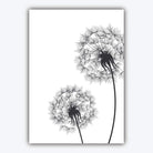 Set of 5 ORIGINAL Gallery wall ART Prints Graphical Sketch DANDELION triptych with Pair of Magnolia Art Photographs Botanical Floral