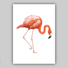 Pink Flamingo Set of 3 Gallery Wall Art Prints Minimal Artwork