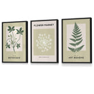 Vintage Graphical Sage Green Botanical Flower Market FRAMED Wall Art Prints / Posters