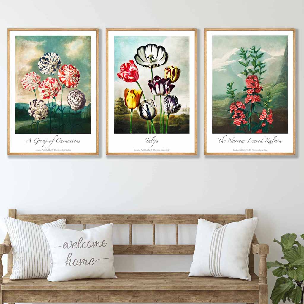 Vintage Botanical Cottage Garden Flowers Carnations Set of 3 Wall Art Prints