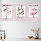 Vintage Graphical Pink Hollyhock Flowers Set of 3 Wall Art Prints